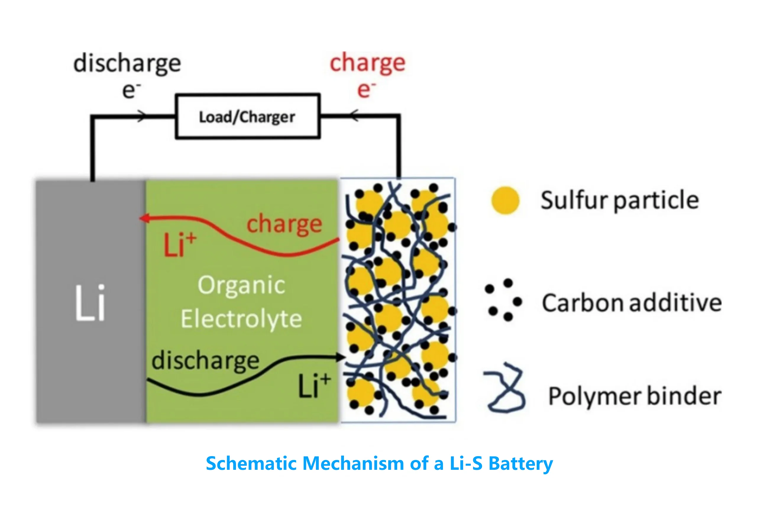 Schematic Mechanism of a Li-S Battery
